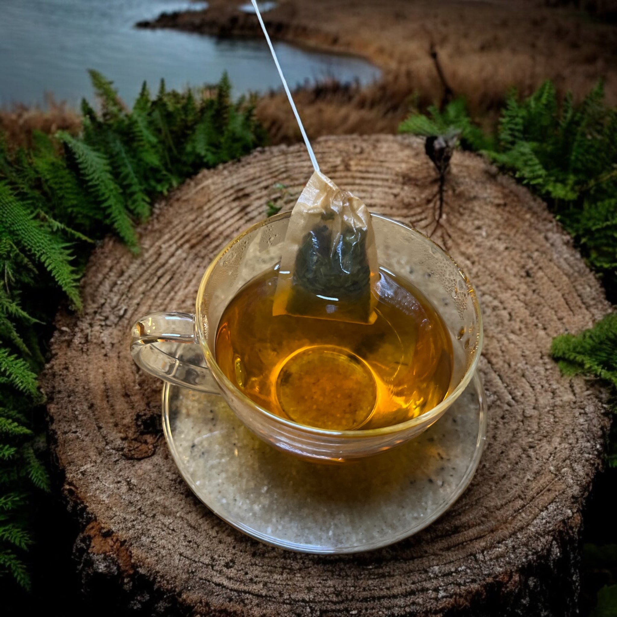 Organic Peppermint Herbal Tea